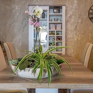  Appartement Beach Luxury